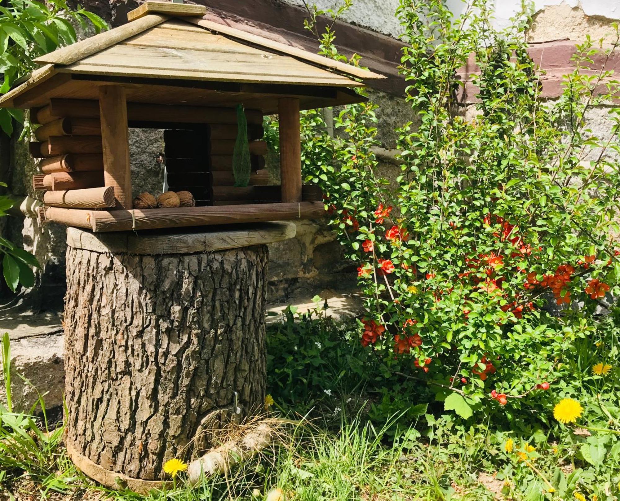 Apartamenty Pod Skocznia Karpacz Pokoj fotografie